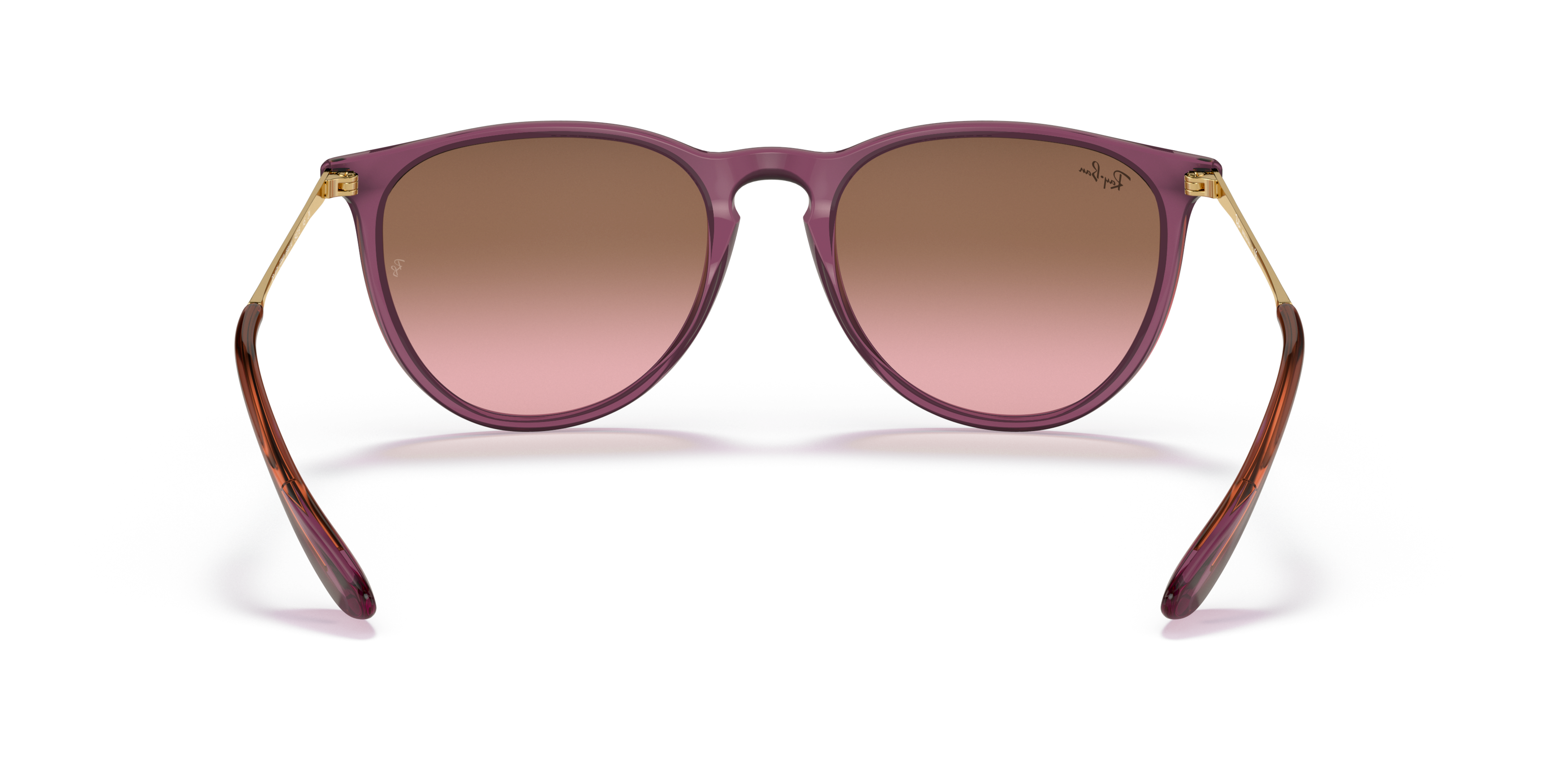 Detail02 Ray-Ban RB 4171 (659114) Sunglasses Brown / Purple