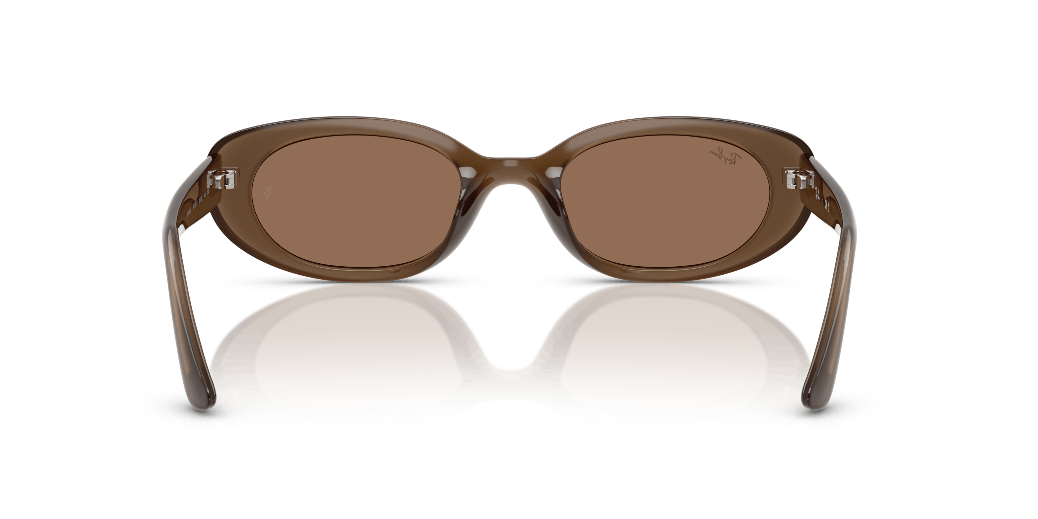 Detail02, Ray-Ban Bio-Based RB 4441D Sunglasses