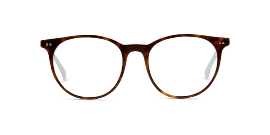 Ted Baker Grainger TB 9126 (521) Glasses Transparent / Tortoise Shell