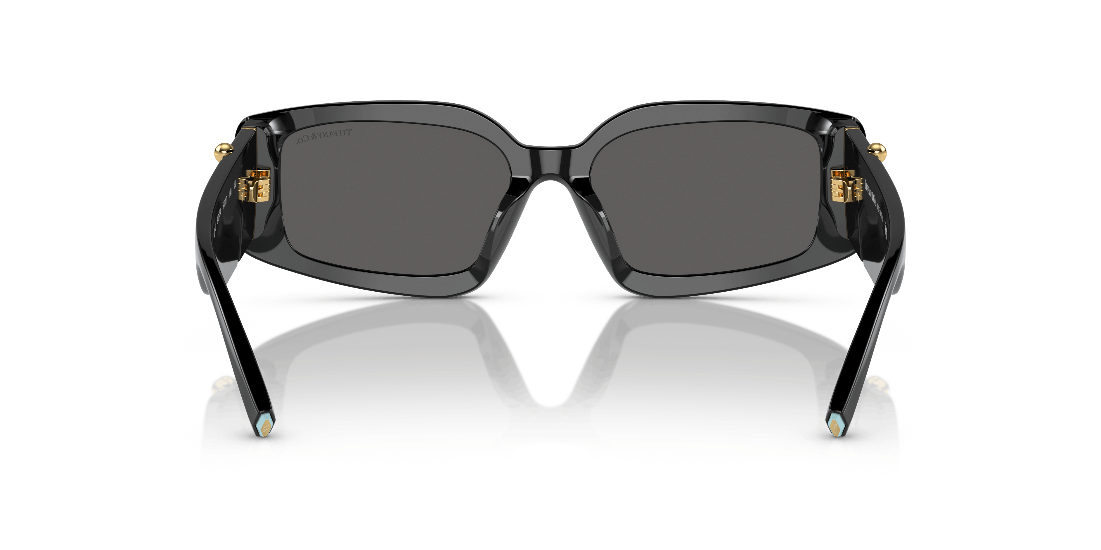 Detail02, Tiffany & Co. TF4208U 8001S4