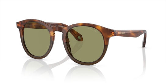 Giorgio Armani AR 8192 Sunglasses Grey / Havana