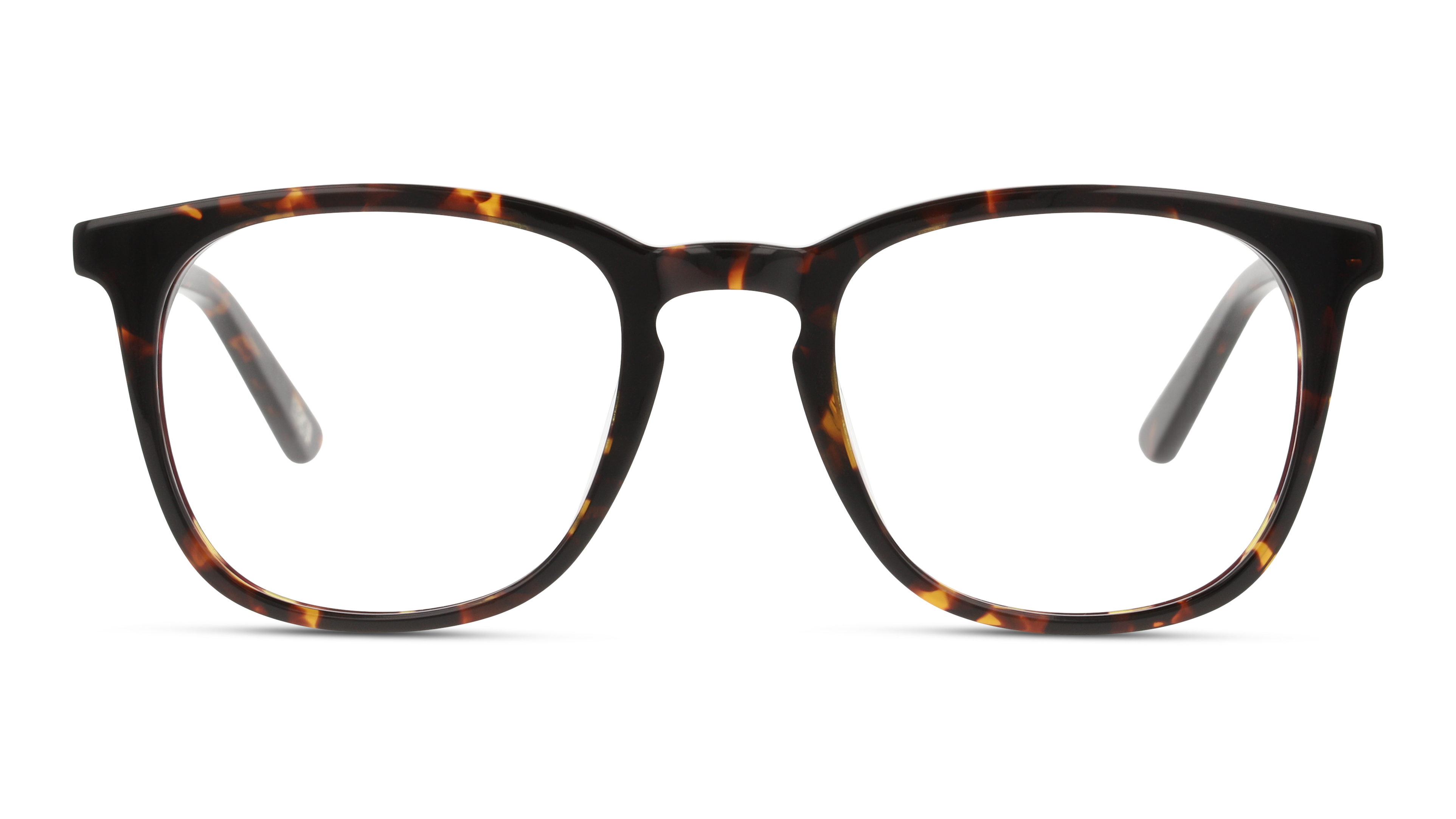 Front DbyD Essentials DB OM0035 Glasses Transparent / Tortoise Shell