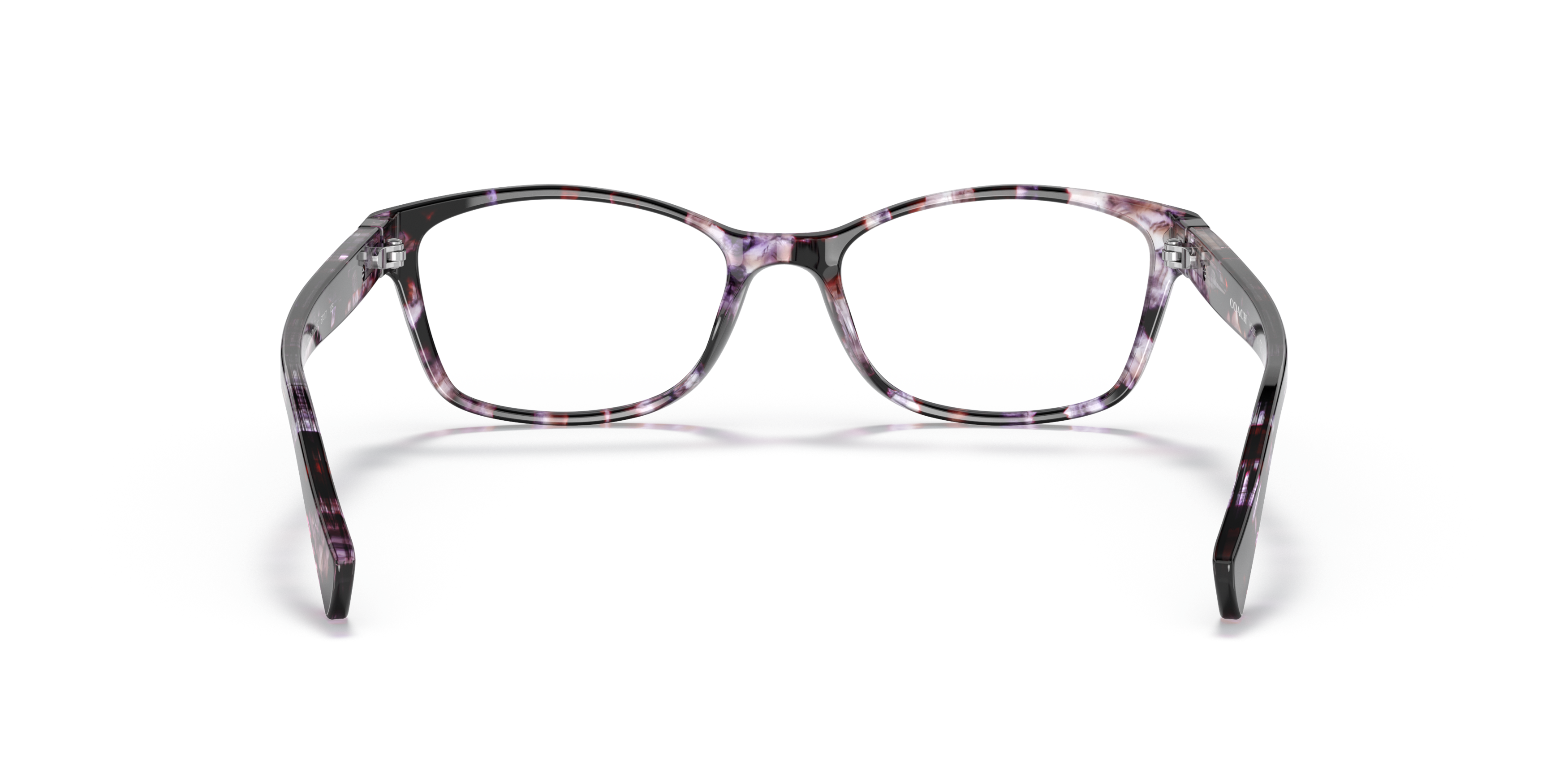 Detail02 Coach HC 6065 (5548) Glasses Transparent / Violet
