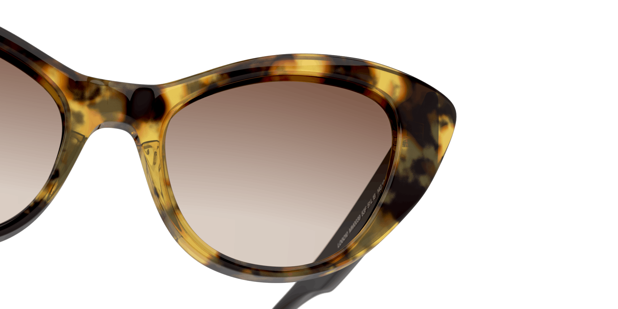 Detail01 Max Mara MM0039 53F Marrone / Tartarugato