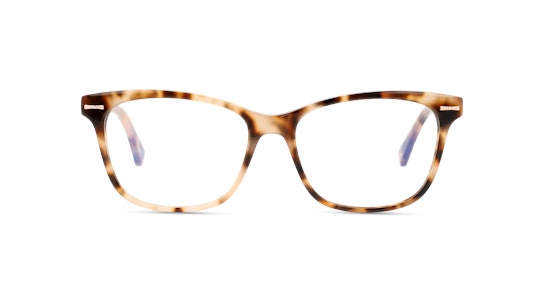 Ted Baker TB 9199 (205) Glasses Transparent / Tortoise Shell