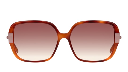 Ted Baker Indi TB 1616 (307) Sunglasses Brown / Brown