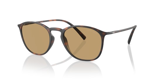 Giorgio Armani AR 8186U Sunglasses Brown / Havana