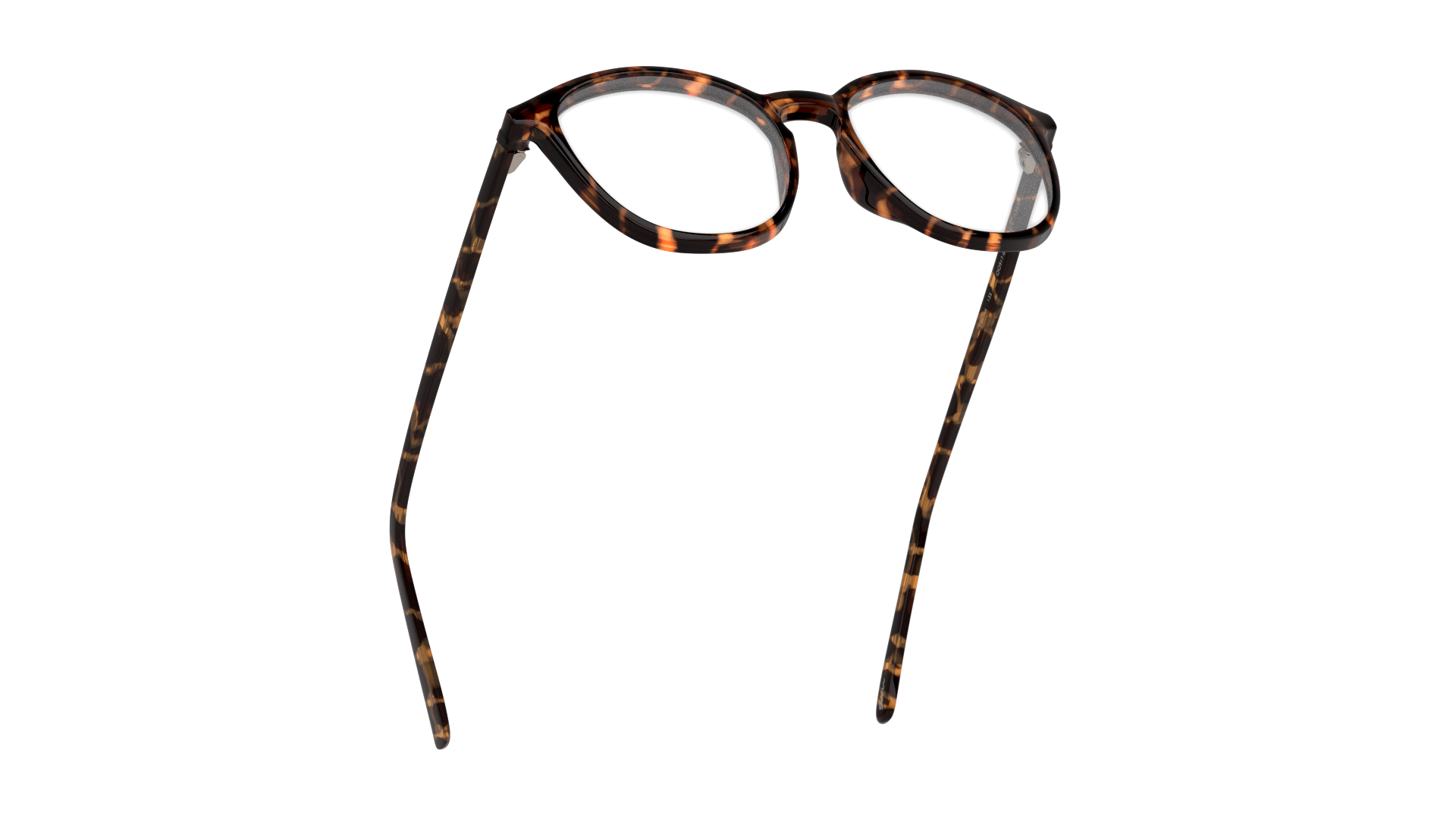 Bottom_Up Seen SNOF5003 Glasses Transparent / Tortoise Shell