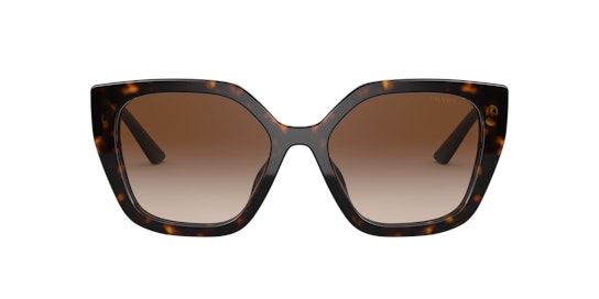 Prada PR 24XS (2AU6S1) Sunglasses Brown / Havana