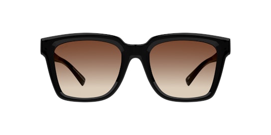 DbyD DB 6018 Sunglasses Brown / Black