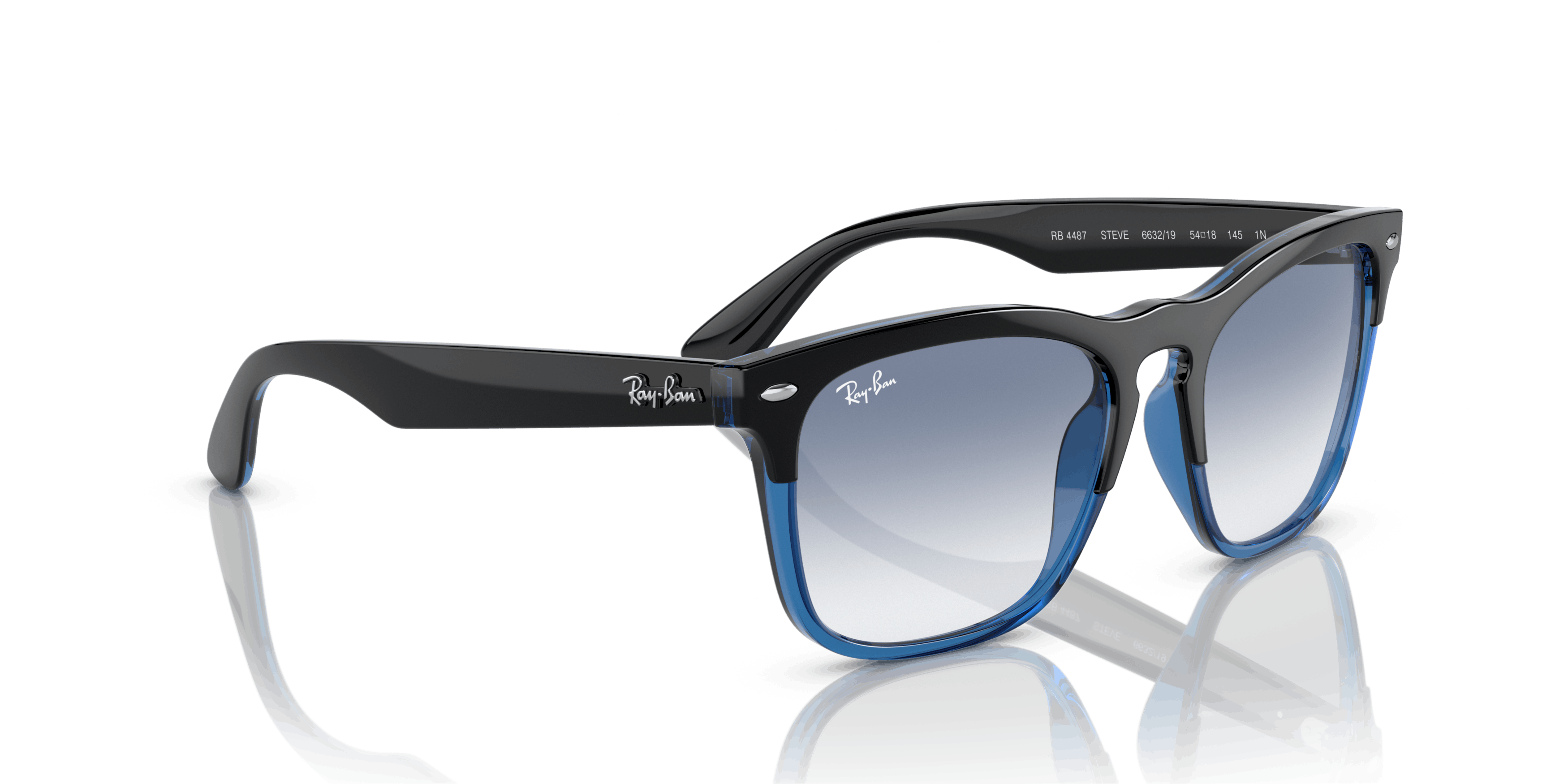 Angle_Right02, Ray-Ban STEVE RB4487 663219