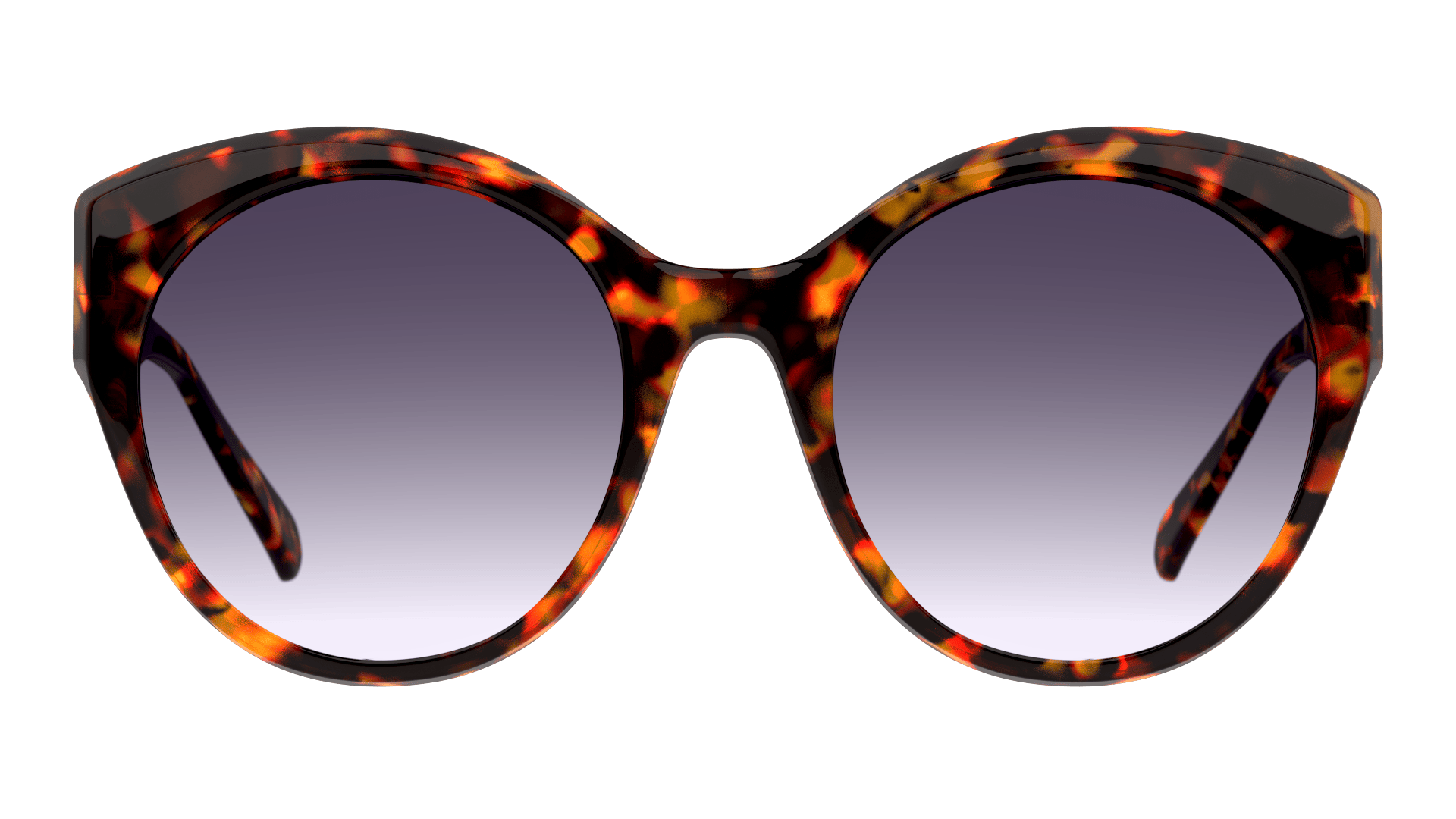 SENSAYA SYSF0080 HHG0