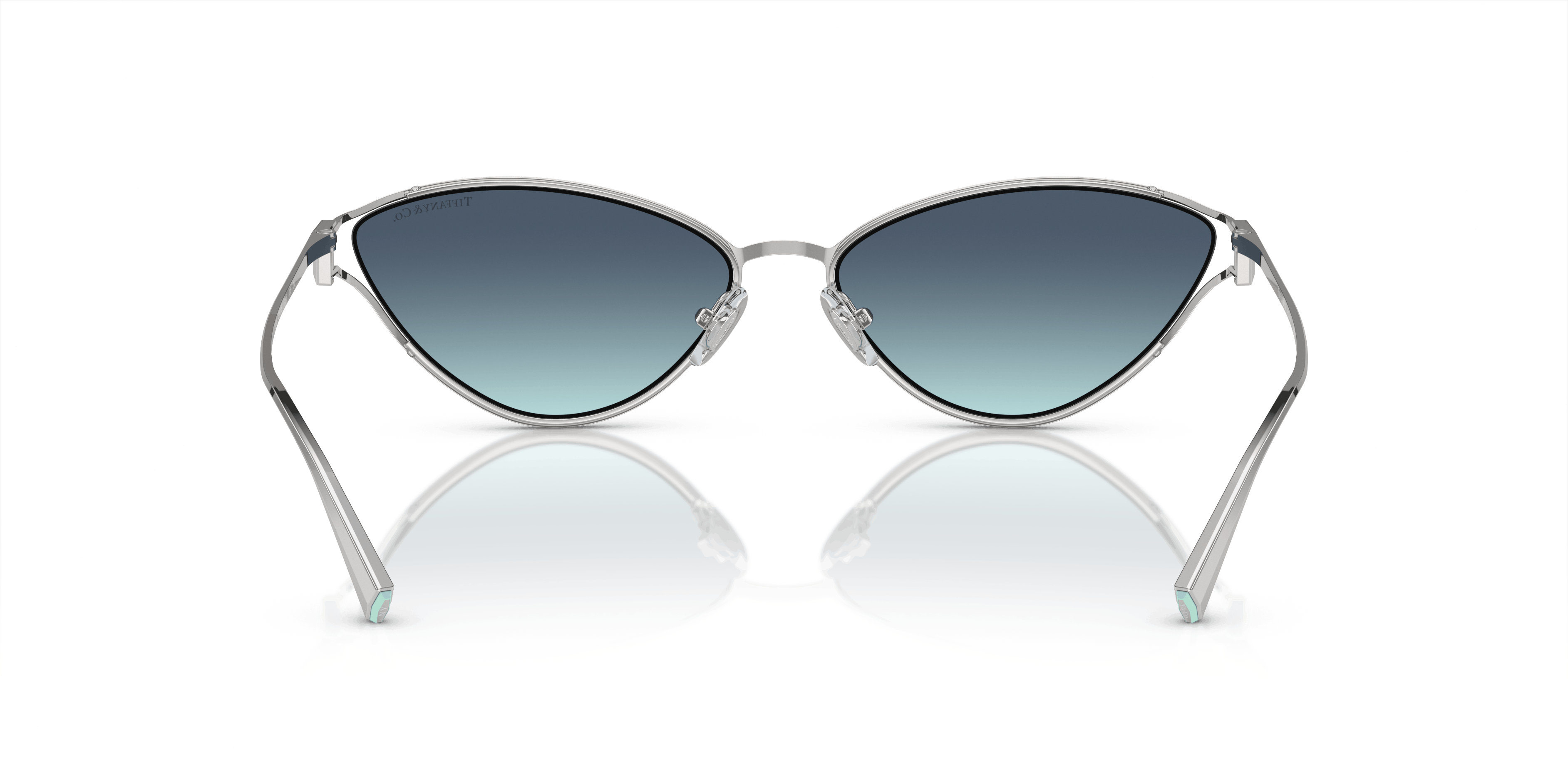 Detail02, Tiffany & Co. TF3095 60019S