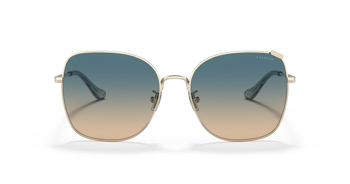 Coach Sunglasses HC 7133 Vision Express
