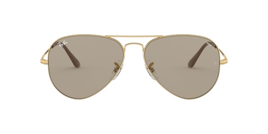 Ray-Ban Solid Evolve RB3689 1/T2 Bruin / Goud