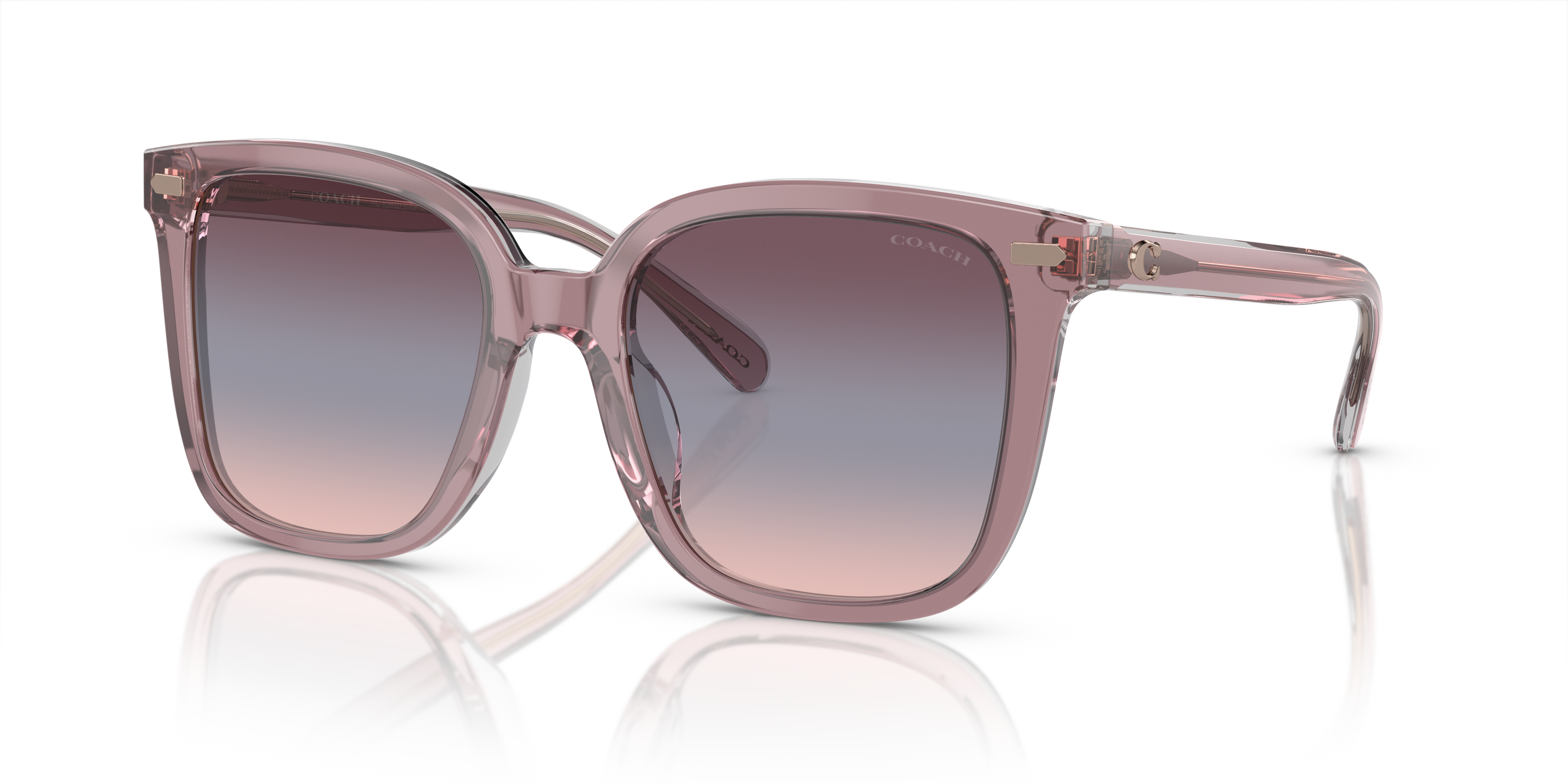 [products.image.angle_left01] Coach HC 8381U Sunglasses