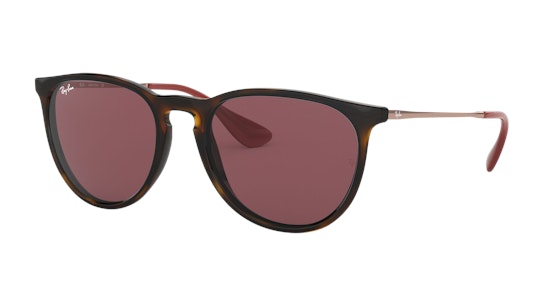 Ray-Ban Erika Color Mix RB4171 639175 Paars / Bruin