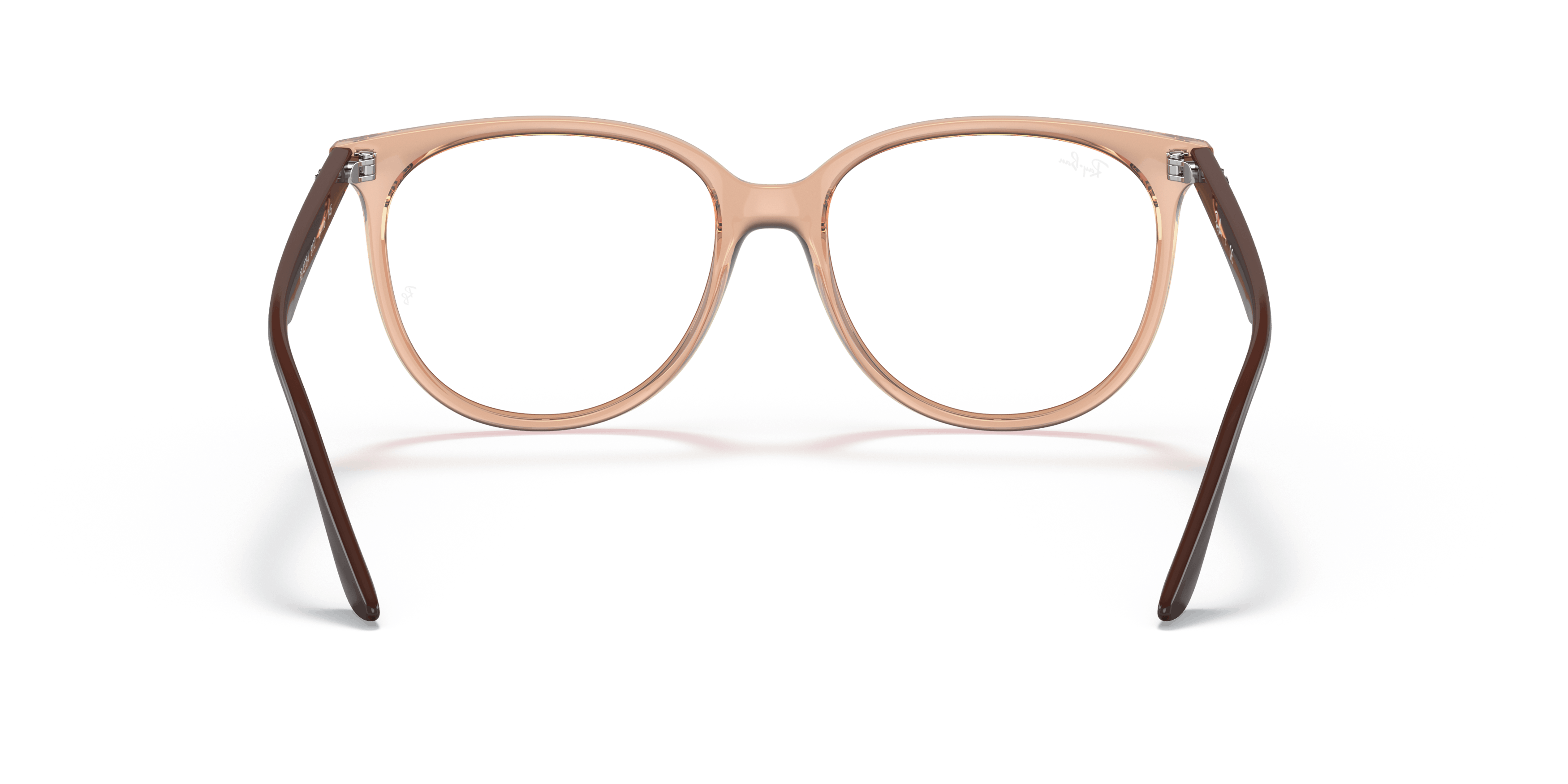 Detail02, Ray-Ban RB4378V 8172