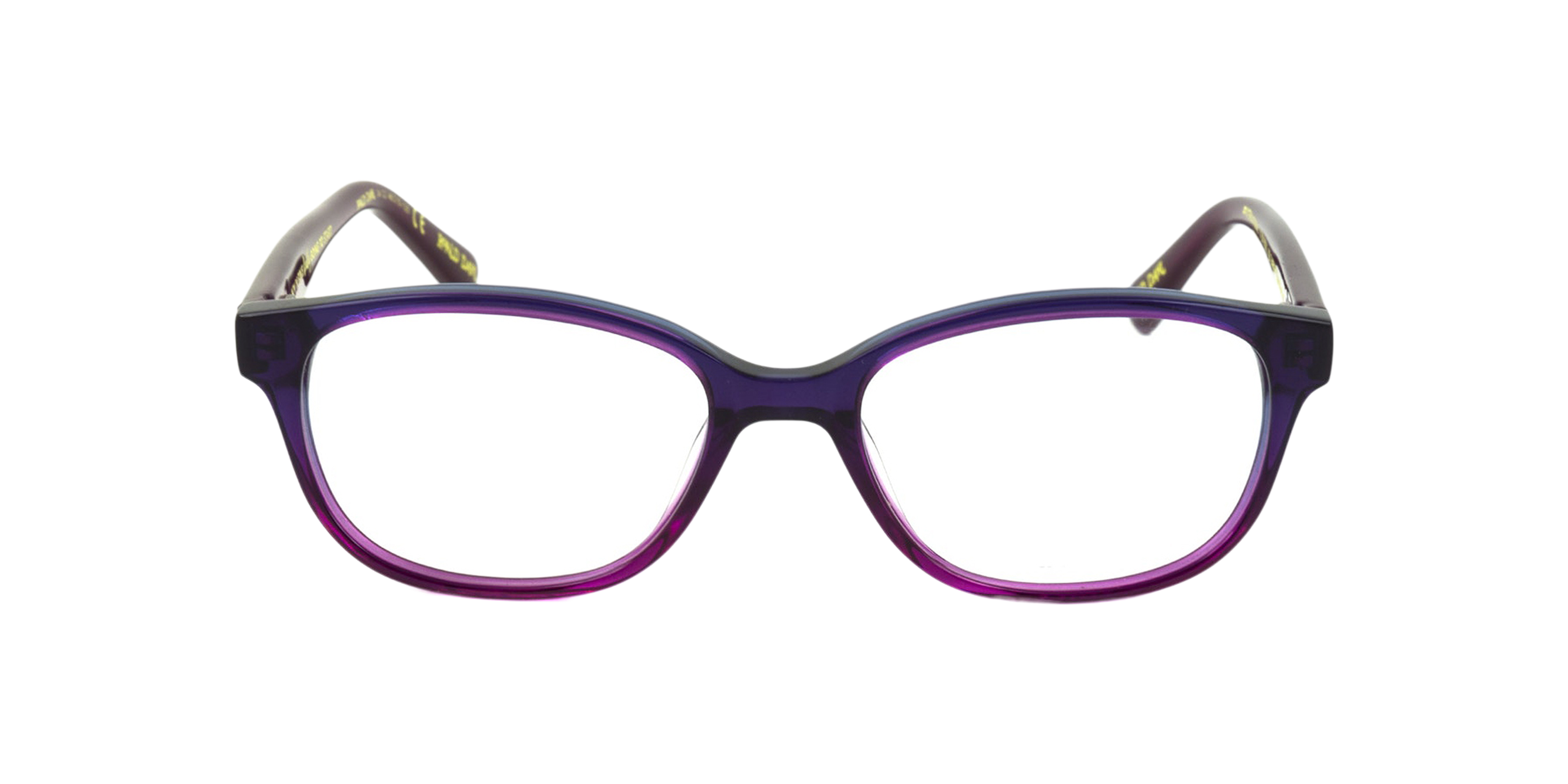 Front Roald Dahl Charlie and the Chocolate Factory RD05 (C1) Children's Glasses Transparent / Tortoise Shell