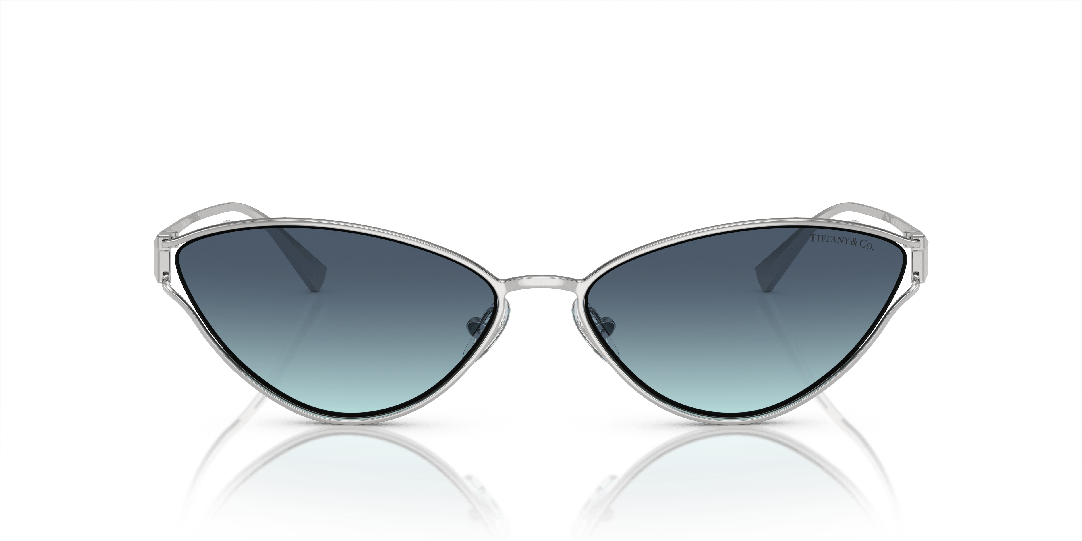 Front, Tiffany & Co. TF3095 60019S