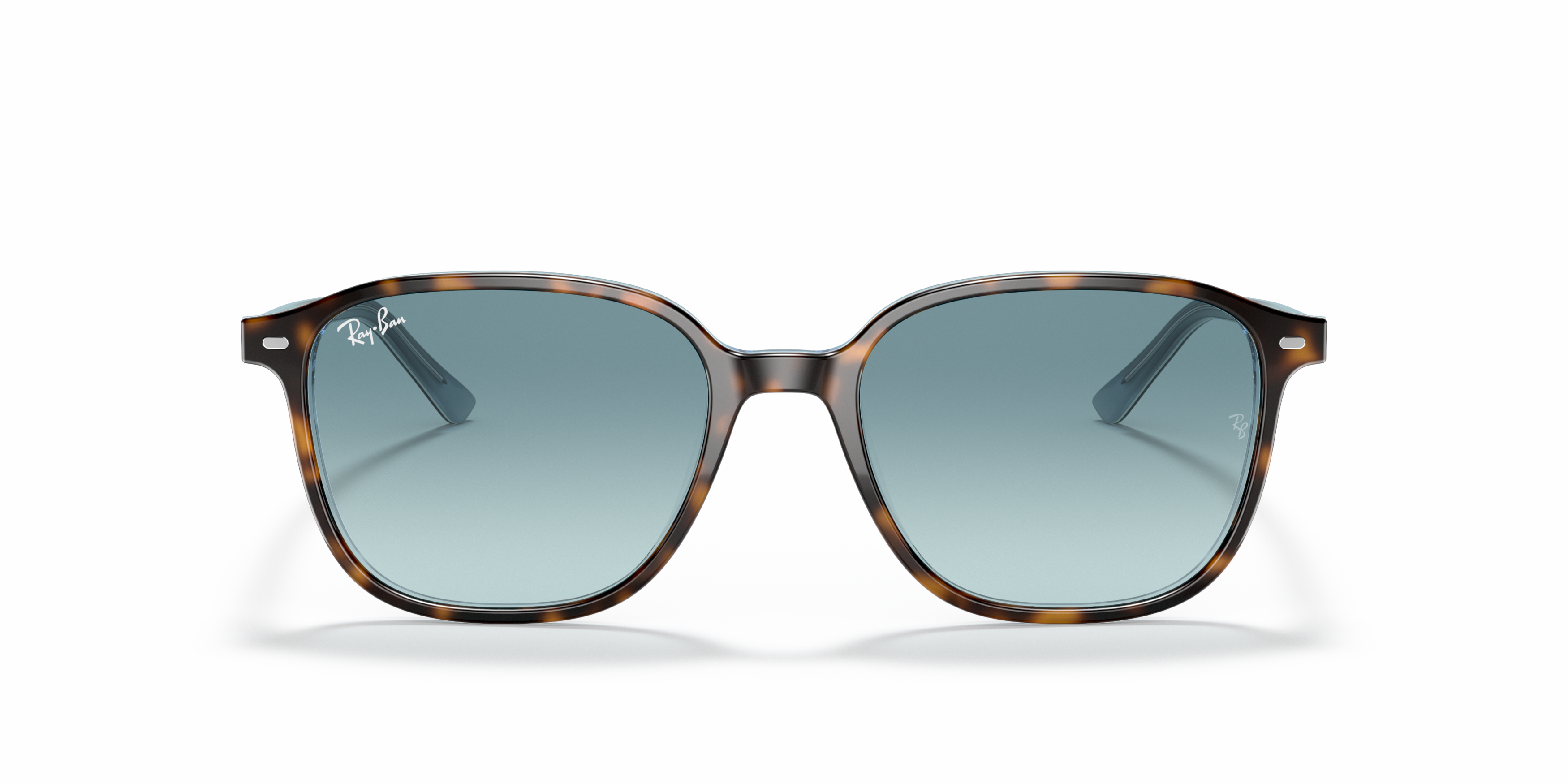 [products.image.front] Ray-Ban Leonard RB2193 13163M
