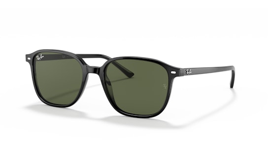 Ray-Ban Leonard RB 2193 (901/31) Sunglasses Green / Black