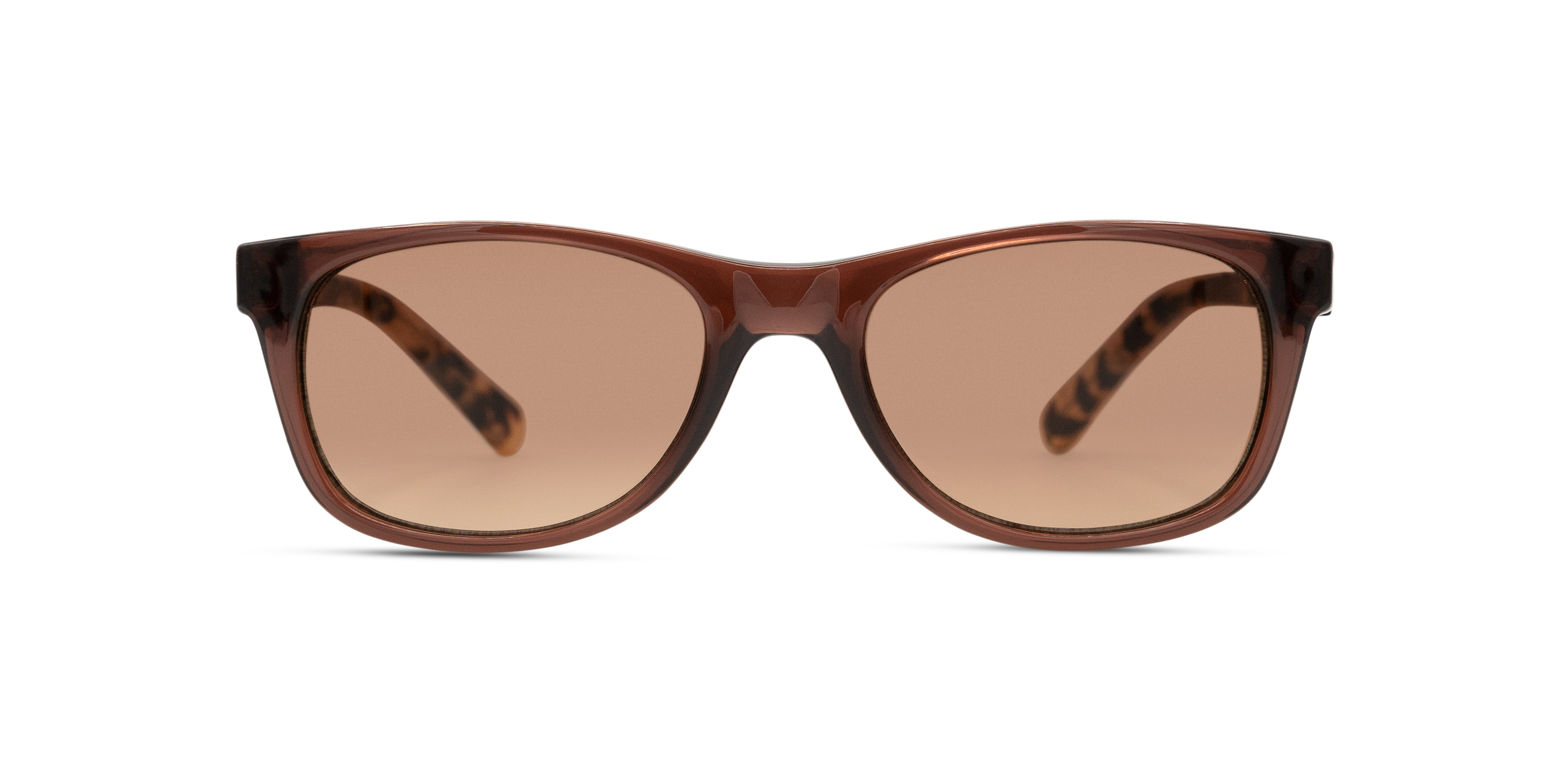 Front Radley Fia (103) Sunglasses Brown / Brown