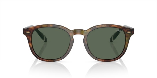 Polo Ralph Lauren PH 4206 Sunglasses Green / Havana