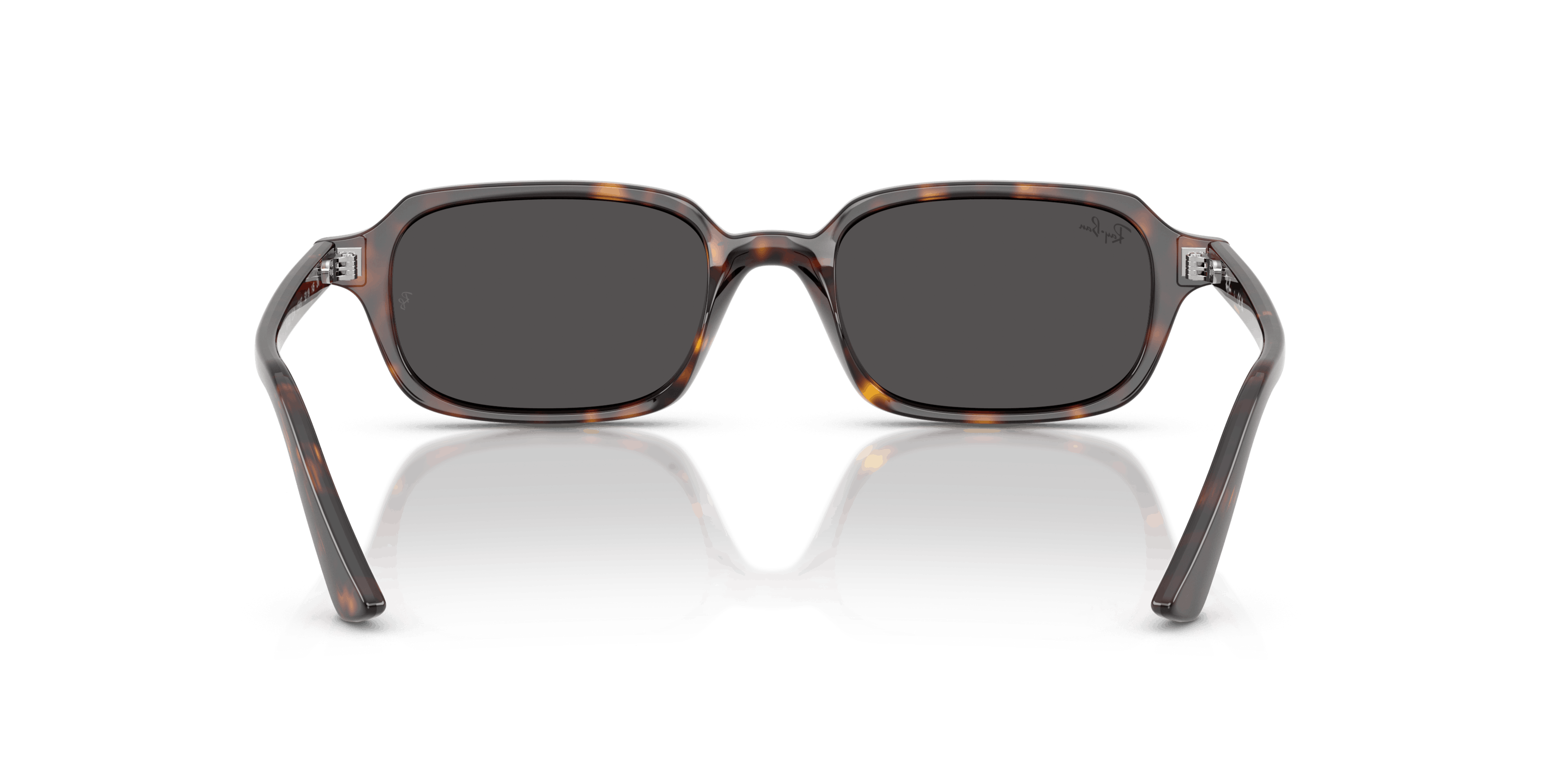 Detail02, Ray-Ban ZURI RB4455 135987