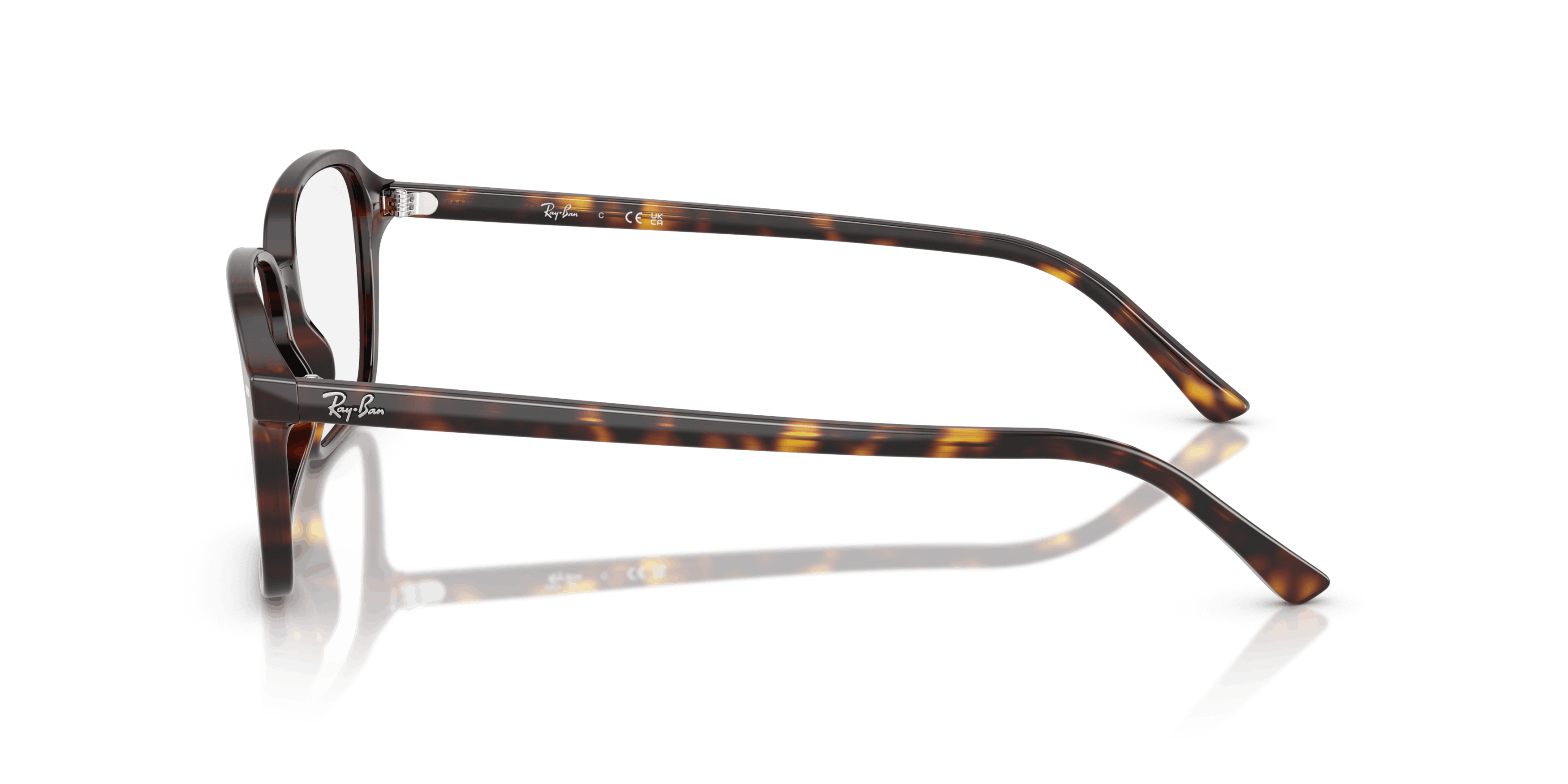Angle_Left02, Ray-Ban Raimond 0RX5431 2012 Briller