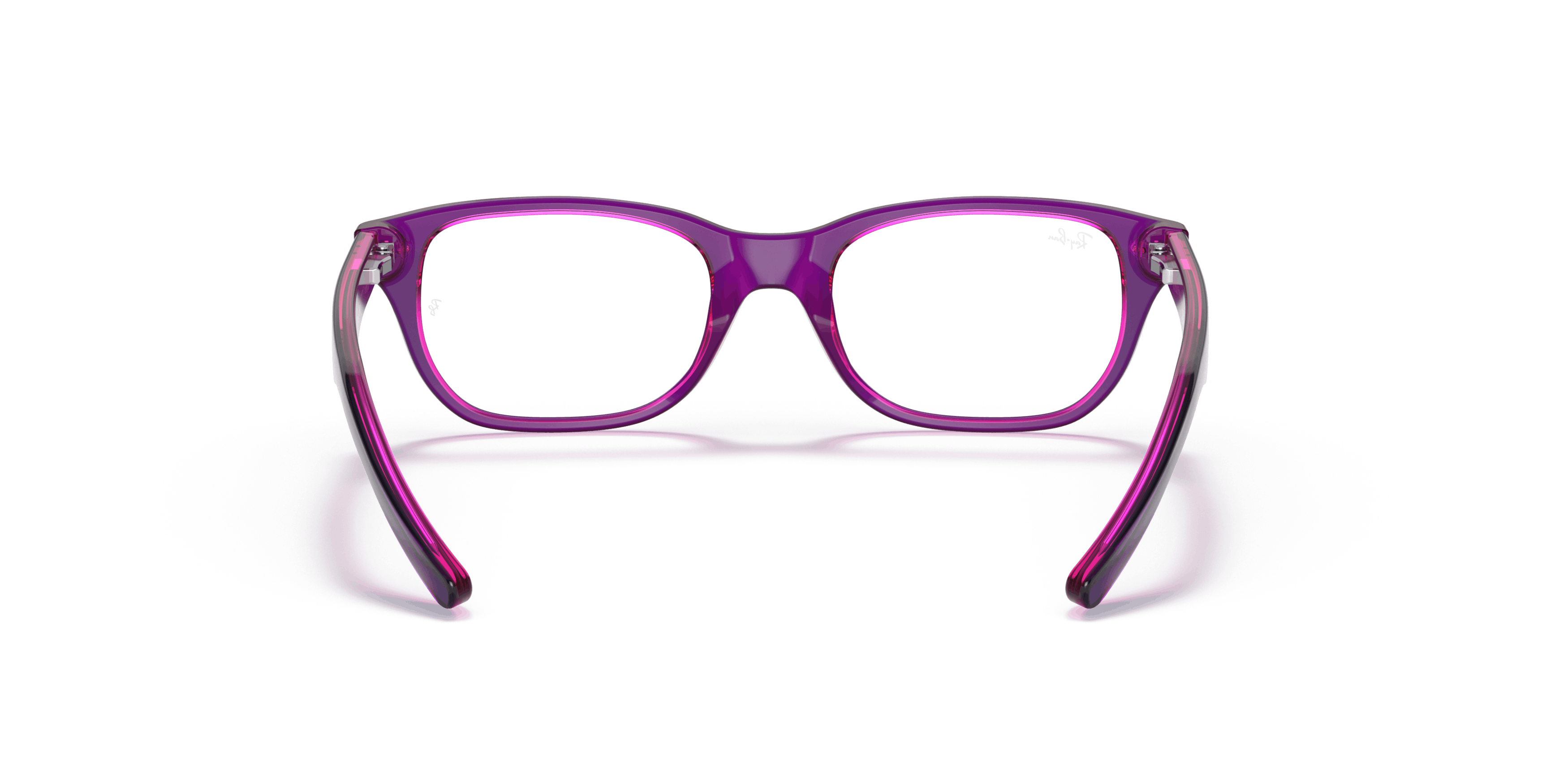 Detail02, Ray-Ban RB1555 3666