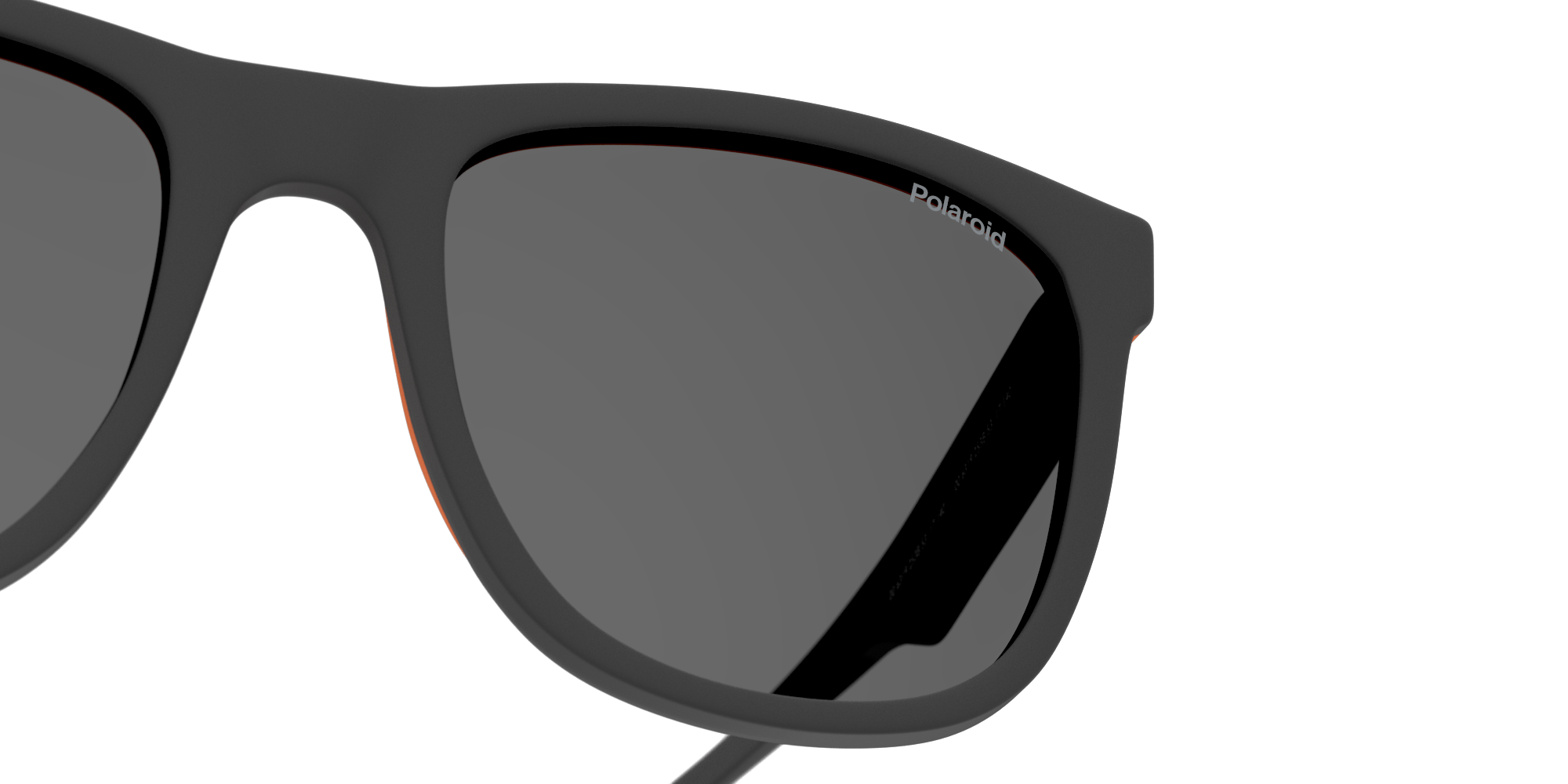 Detail01, Polaroid P4000514 1100M1