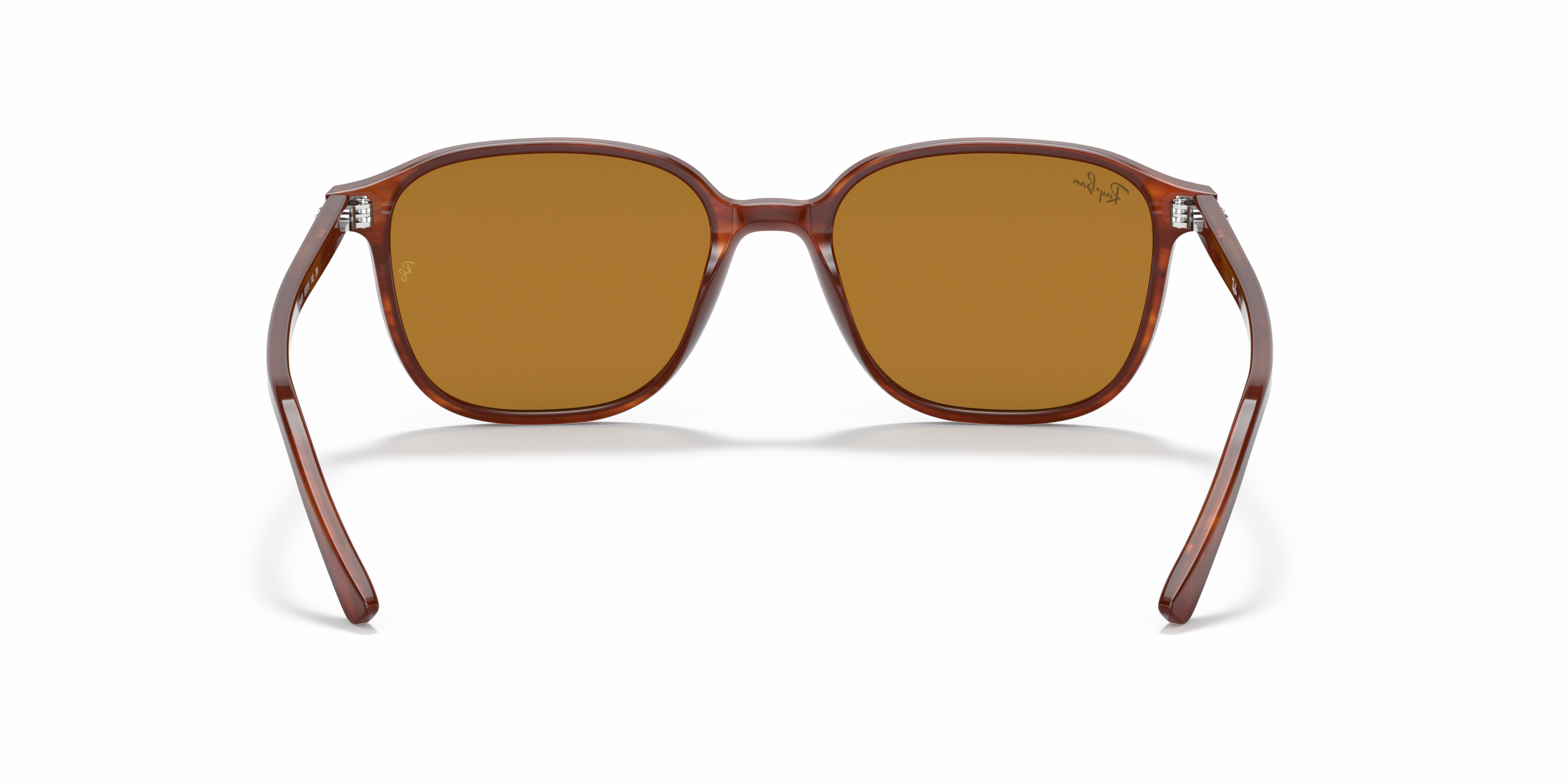 [products.image.detail02] Ray-Ban Leonard RB2193 954/33