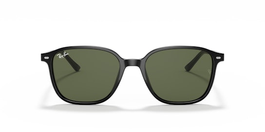Ray-Ban Leonard RB 2193 (901/31) Sunglasses Green / Black