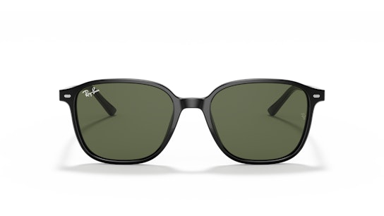 Ray-Ban Leonard RB 2193 Sunglasses Green / Black