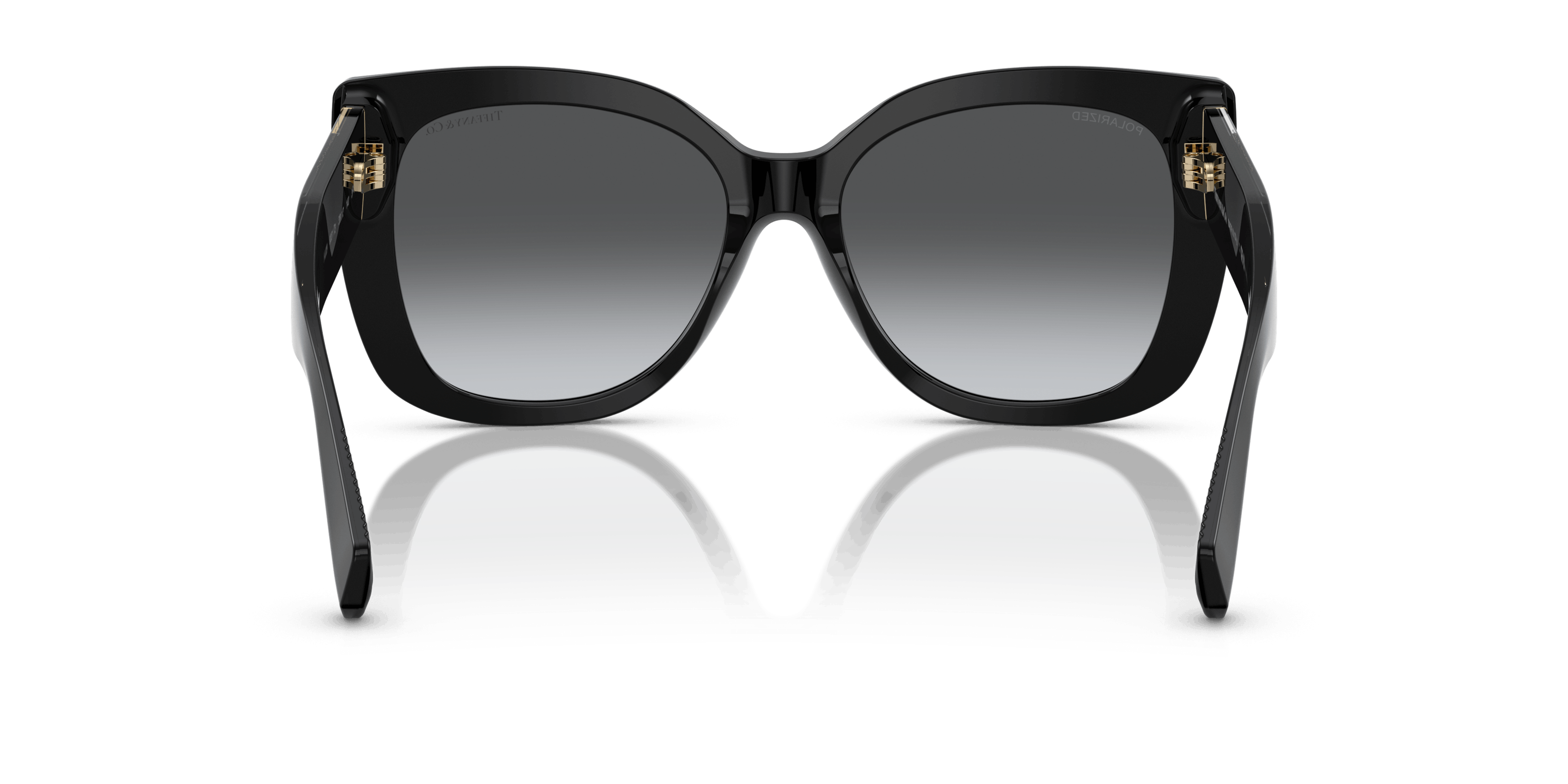 Detail02, Tiffany & Co. 0TF4229 8001T3 Solbriller