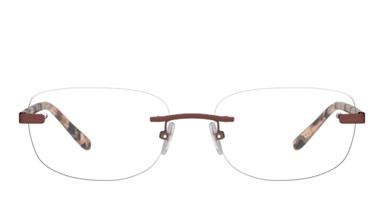DBYD DBOF5031 (NH00) Glasses Transparent / Brown