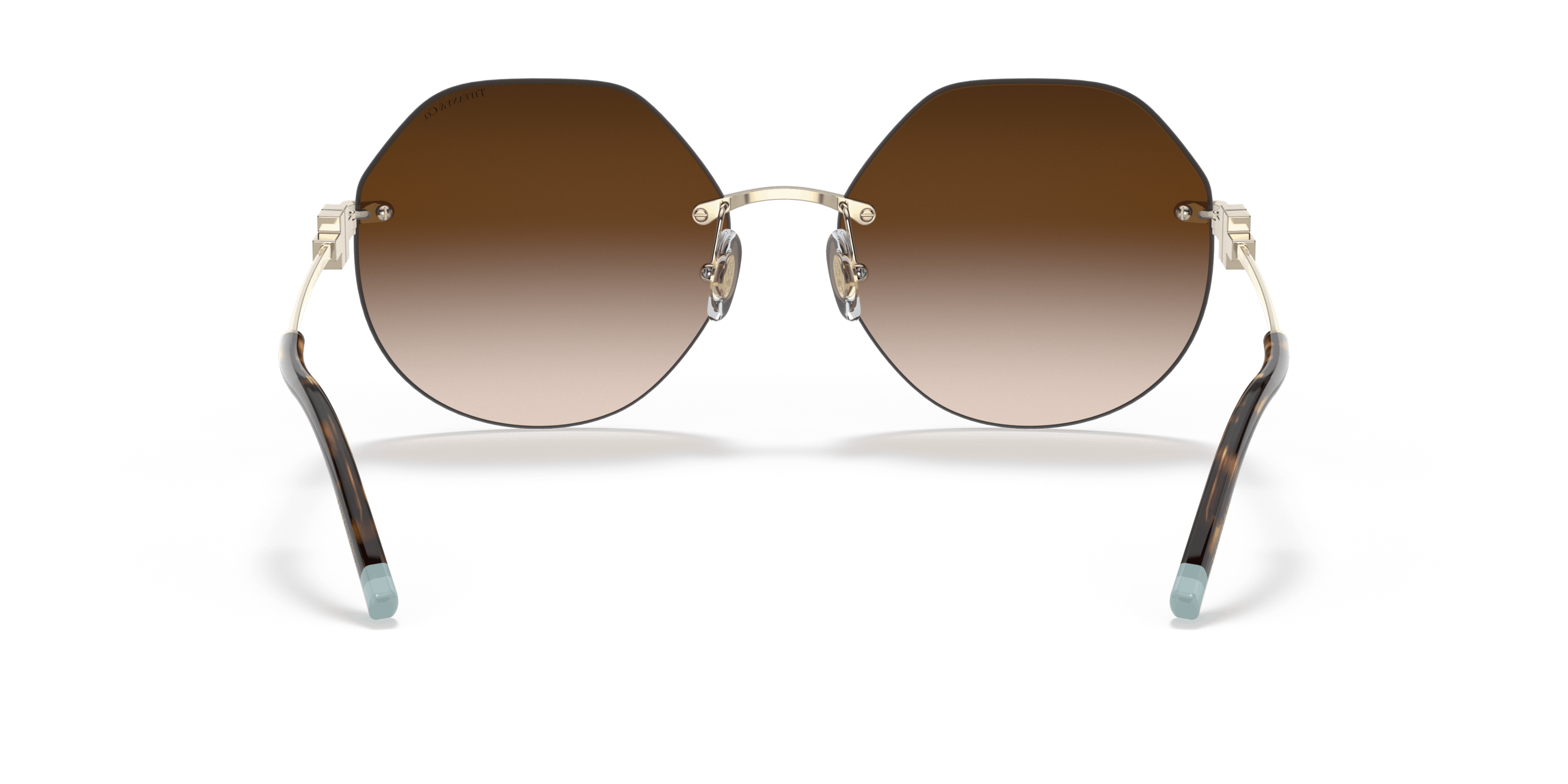 Detail02, Tiffany & Co. TF3077 60213B