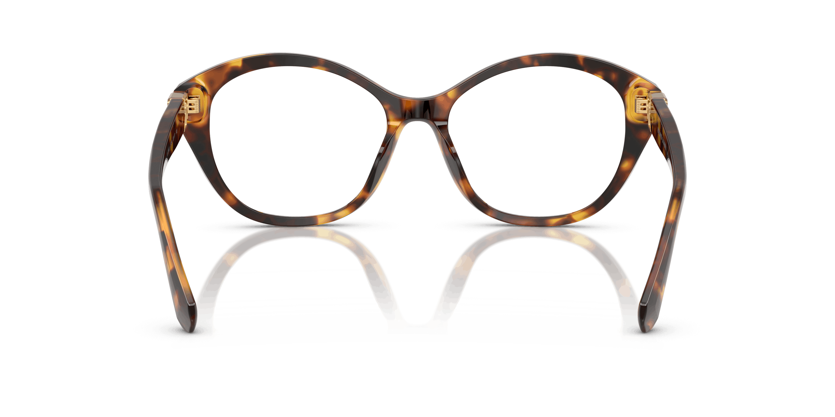 Detail02, Ralph Lauren RL6246U 5134