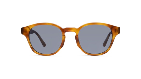 Ted Baker TB 1651 Sunglasses Brown / Havana