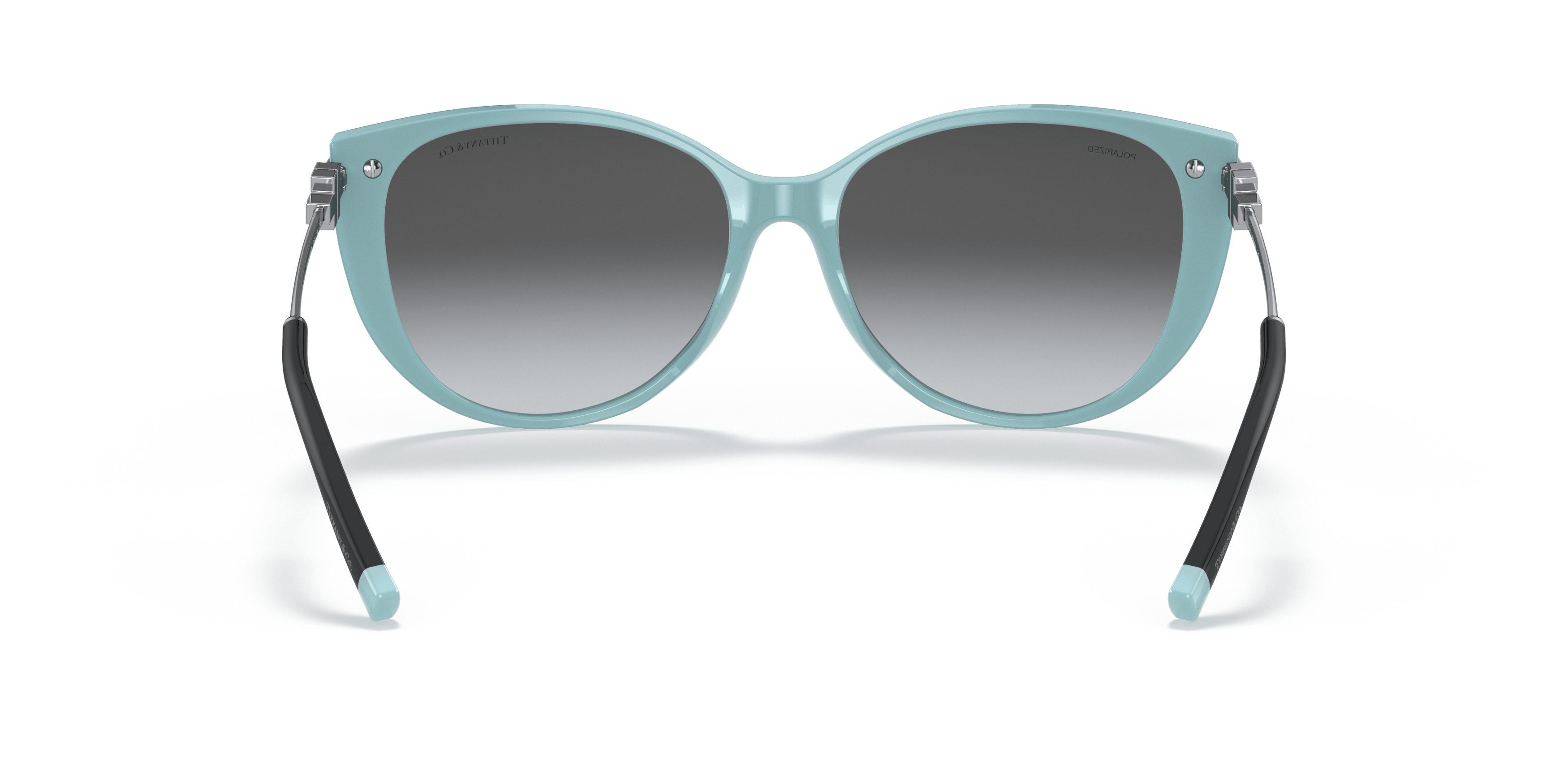 Detail02, Tiffany & Co. TF4178 8055T3