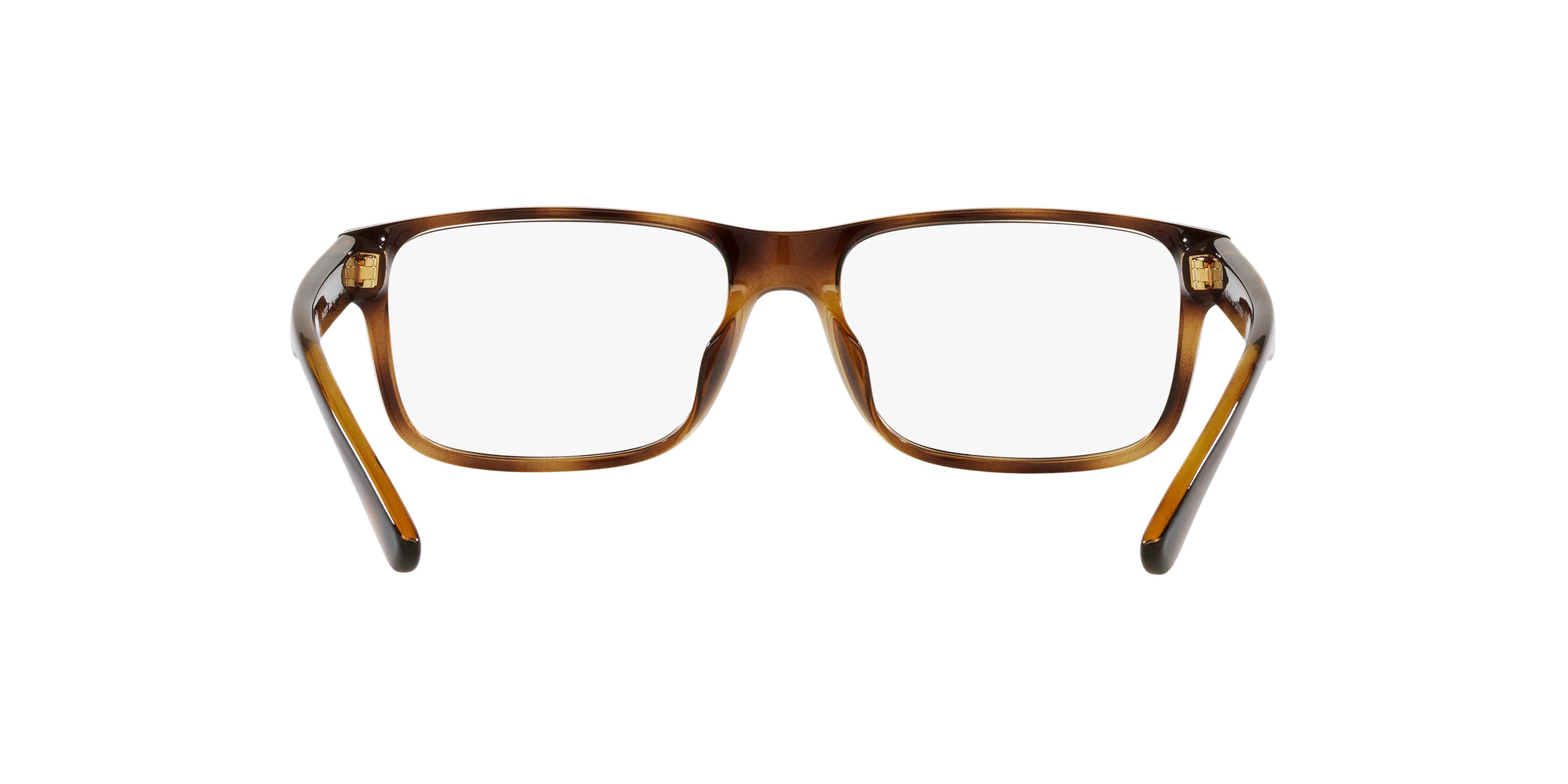 Detail02 Polo Ralph Lauren PH 2237U Glasses Transparent / Tortoise Shell