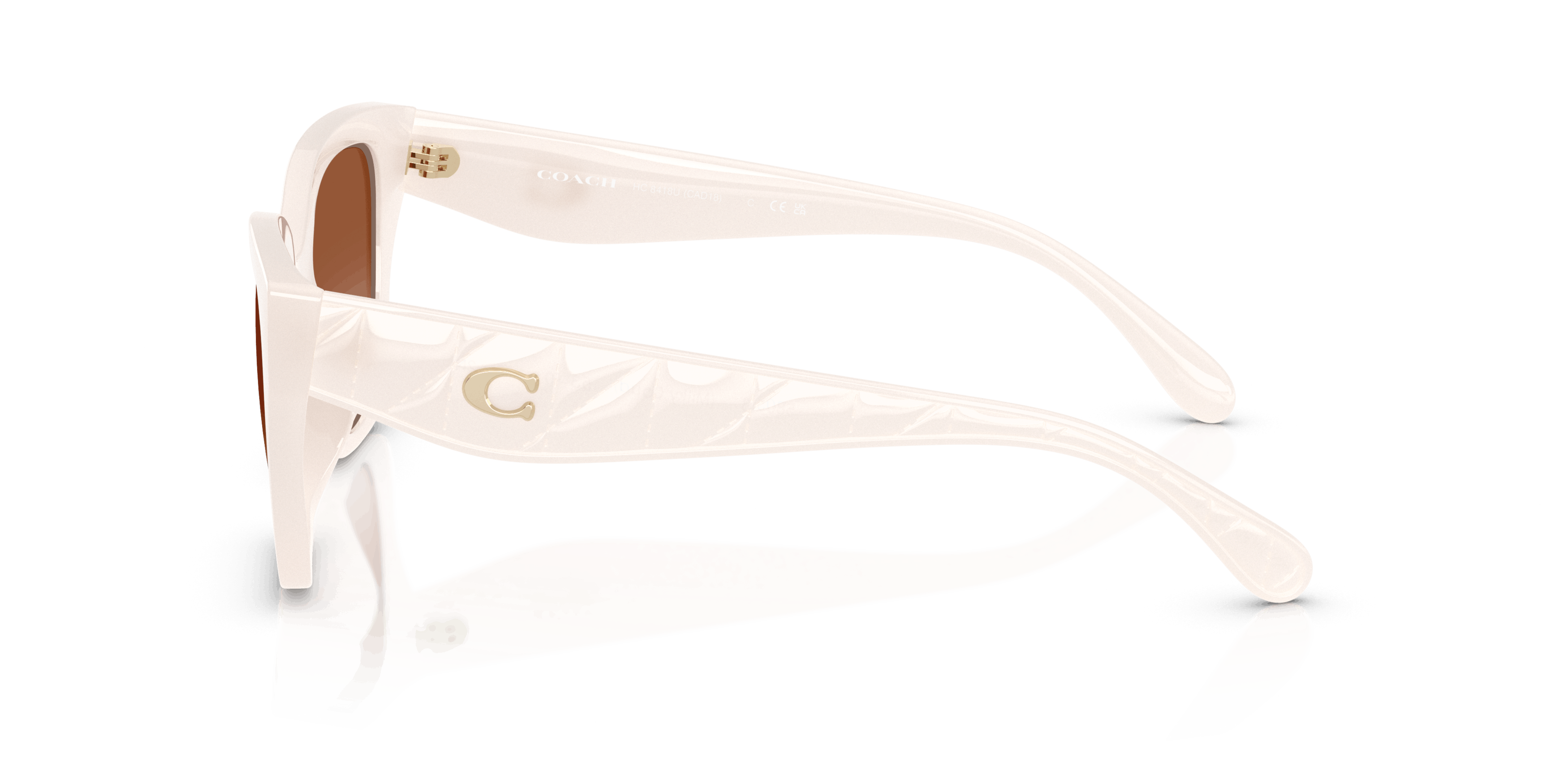 Angle_Left02, Coach HC8418U 53/20